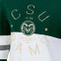 Фото #2 товара NCAA Colorado State Rams Women's Long Sleeve Color Block T-Shirt - XL