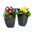 Фото #3 товара Горшок для цветов Elho Vibia Campana Flower Twin 21 - Anthrazit - Auenbalkon - L 38,4 x B 20,5 x H 26,5 cm