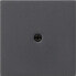 Фото #1 товара GIRA 027428 - Anthracite - Conventional - 1 pc(s)