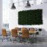 Фото #2 товара Pflanzenwand Buxus