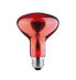 PAULMANN 829.66 - 100 W - 1000 h - 64 lm - 80° - Red - 230 V