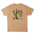 Фото #4 товара DC Shoes Cactus short sleeve T-shirt