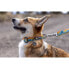 RUFFWEAR Crag™ Collar