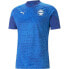 Фото #1 товара PUMA D.Alaves 23/24 Team Cup Training Short Sleeve T-Shirt