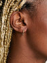 Orelia bamboo huggie hoops in gold plate