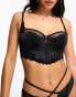 Фото #1 товара Dorina Esme light padded bustier in black