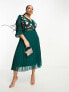Фото #3 товара ASOS DESIGN Curve lace insert pleated midi dress with embroidery in forest green