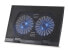 Фото #2 товара Conceptronic THANA Notebook Cooling Pad - Fits up to 17" - 2-Fan - 43.2 cm (17") - 2 pc(s) - 12.5 cm - 1000 RPM - Black - Iron - Plastic