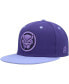 Men's Purple Black Panther Fitted Hat