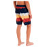 Фото #3 товара PROTEST City Swimming Shorts