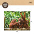 Фото #3 товара Пазл Colorbaby Орангутан 6 штук 68 x 50 x 0,1 см