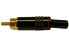 EUROCONNEX 1893 Red Line RCA Male Connector 6 mm