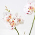 Фото #7 товара Künstliche weiße Phalaenopsis-Orchidee