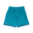 MITCHELL & NESS NBA SWINGMAN ROAD SHORTS CHARLOTTE HORNETS 92-93