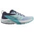 Фото #1 товара SALOMON Sense Ride 5 trail running shoes