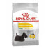 ROYAL CANIN Mini Dermacomfort Beef Vegetable 3kg Dog Food