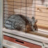 FERPLAST Ranch 100 Basic Cage Rabbits - фото #6