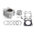 Фото #1 товара AIRSAL Honda Sh/Pcx Ø58 mm 150cc Cylinder Kit