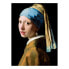 Bild Jan Vermeer I