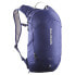 SALOMON Trailblazer 10L backpack