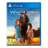 PLAYSTATION GAMES PS4 Windstorm an unexpected arrival