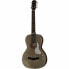 Фото #1 товара Godin Rialto JR Satina Gray HG Q