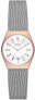 Часы Skagen Grenen Lille SKW3050