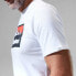 ფოტო #9 პროდუქტის BERGHAUS Grey Fangs Peak short sleeve T-shirt