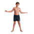 Фото #1 товара SPEEDO Essential 13´´ Swimming Shorts