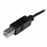 Кабель USB C — USB B Startech USB2CB2M Чёрный 2 m Разноцветный