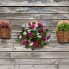 Фото #8 товара Wand Blumentopf 3er Set