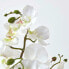Фото #11 товара Искусственные цветы Homescapes Phalaenopsis Orchidee weiß 60 см