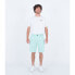 Фото #4 товара HURLEY Phantom Flow Walk 20´´ shorts