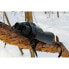 Фото #6 товара PENTAX Jupiter Binoculars 16x50