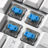 Sharkoon PureWriter TKL RGB Blue - USB - Mechanical - QWERTZ - LED - White
