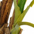 Фото #4 товара Декоративное растение 103 x 95 x 200 cm Зеленый PVC Банан