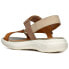 ფოტო #5 პროდუქტის GEOX Spherica EC5W sandals