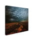 Фото #2 товара Franz Schumacher 'Mammatus' Canvas Art - 18" x 18" x 2"