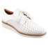 Фото #2 товара Softwalk Willis S1811-100 Womens White Narrow Leather Oxford Flats Shoes