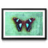Фото #1 товара Gerahmtes Bild Gloomy Butterfly