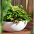 Фото #2 товара Горшок для цветов Riviera Plant Pot 40 см Белый