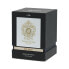 Парфюмерия унисекс Tiziana Terenzi XIX March 100 ml