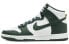 Nike Dunk High Retro DD1399-300 Sneakers