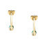 Фото #2 товара Decent gold-plated hoop earrings Colori SAXQ09