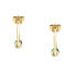 Decent gold-plated hoop earrings Colori SAXQ09