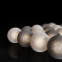 Фото #7 товара Lichterkette Cotton Balls