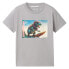 Фото #1 товара TOM TAILOR Special Artwork 1041713 short sleeve T-shirt