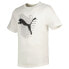 ფოტო #2 პროდუქტის PUMA Graphics Cat short sleeve T-shirt