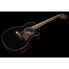 Taylor 814ce Builders Edition Blackt