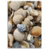 Фото #3 товара Bild auf leinwand Muscheln Steine Meer